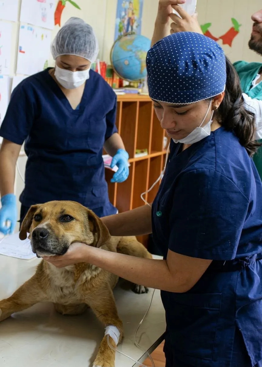 Javiera atendiendo a un perro durante un procedimiento clínico