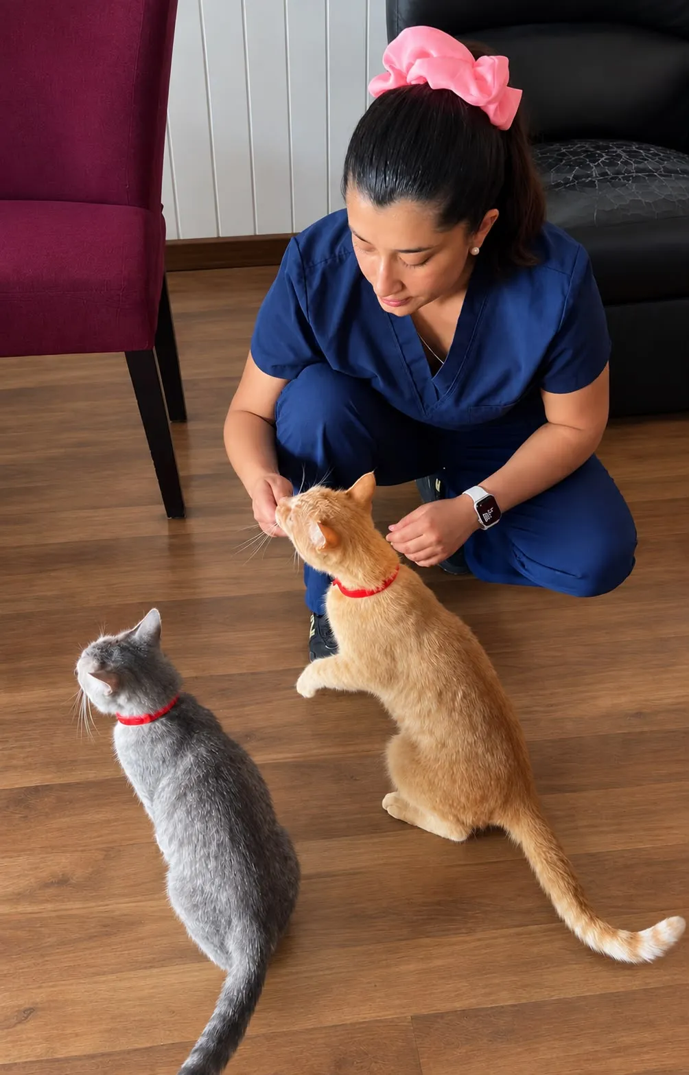 Javiera saludando a dos gatos durante una visita a domicilio